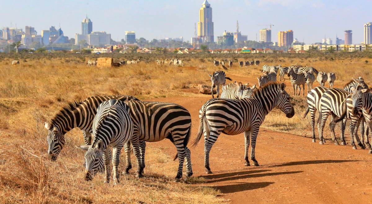 Nairobi Tour, Kenya